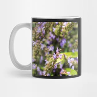 Bee sitting on the purple Salvia flower Mug